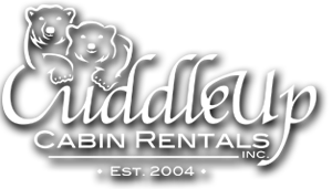 Cuddle Up Cabin Rentals My Home Blue Ridge